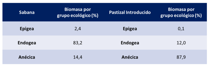 Lombrices (Tabla biomasa por grupos ecológicos)